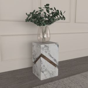 Plinth-1